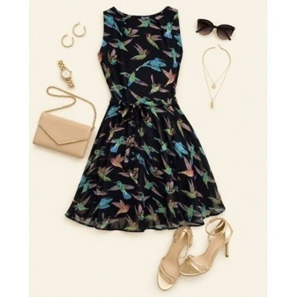 Iska London Black Hummingbird Print Chiffon Fit and Flare Women's Dress Size XS
